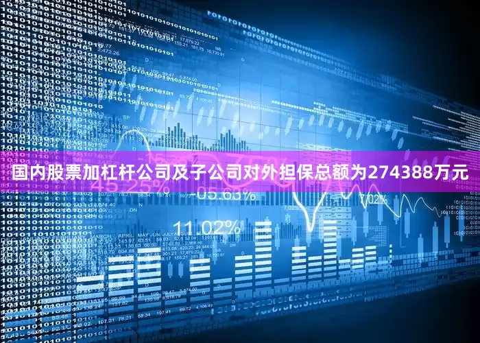 国内股票加杠杆公司及子公司对外担保总额为274388万元