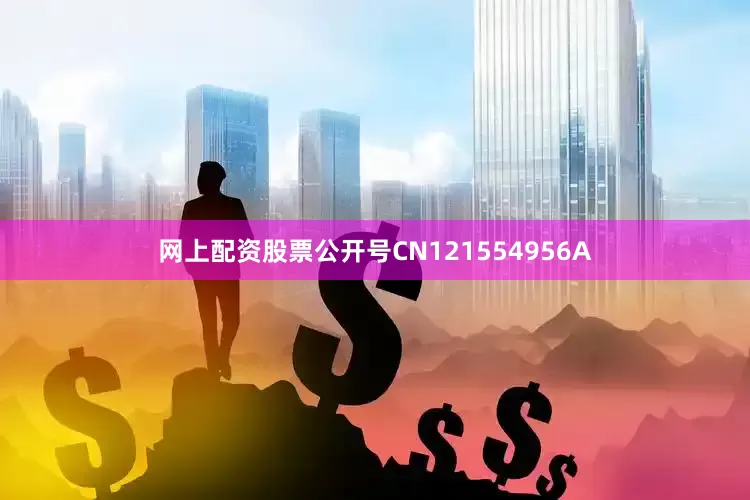 网上配资股票公开号CN121554956A